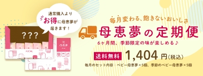 どこでも母恵夢便