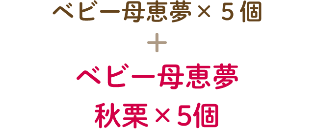 ベビー母恵夢×５個 + ベビー母恵夢 秋栗×5個